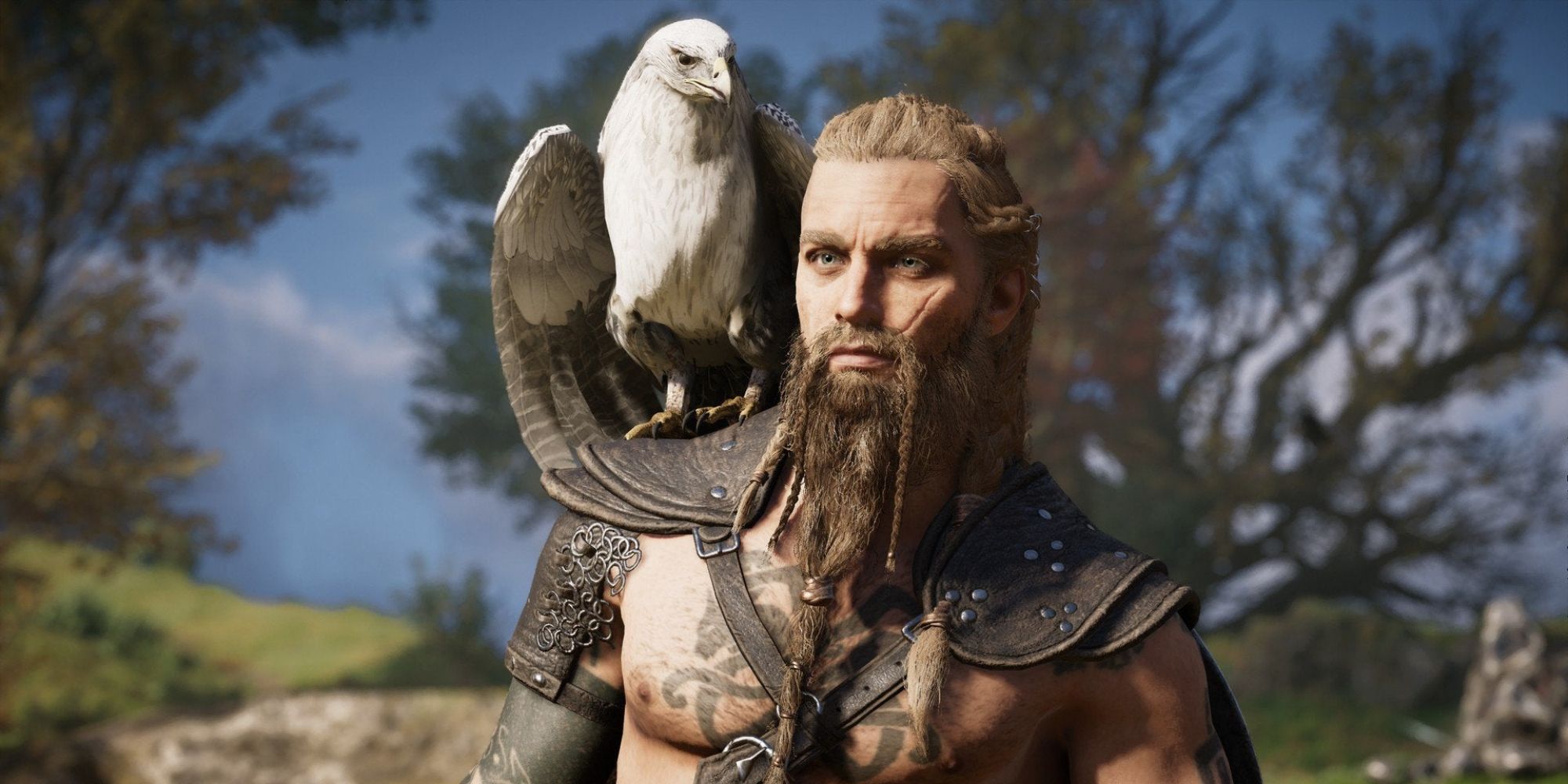 AC Valhalla Changes Assassin's Creed's Next Game Should Ignore Bird Companion