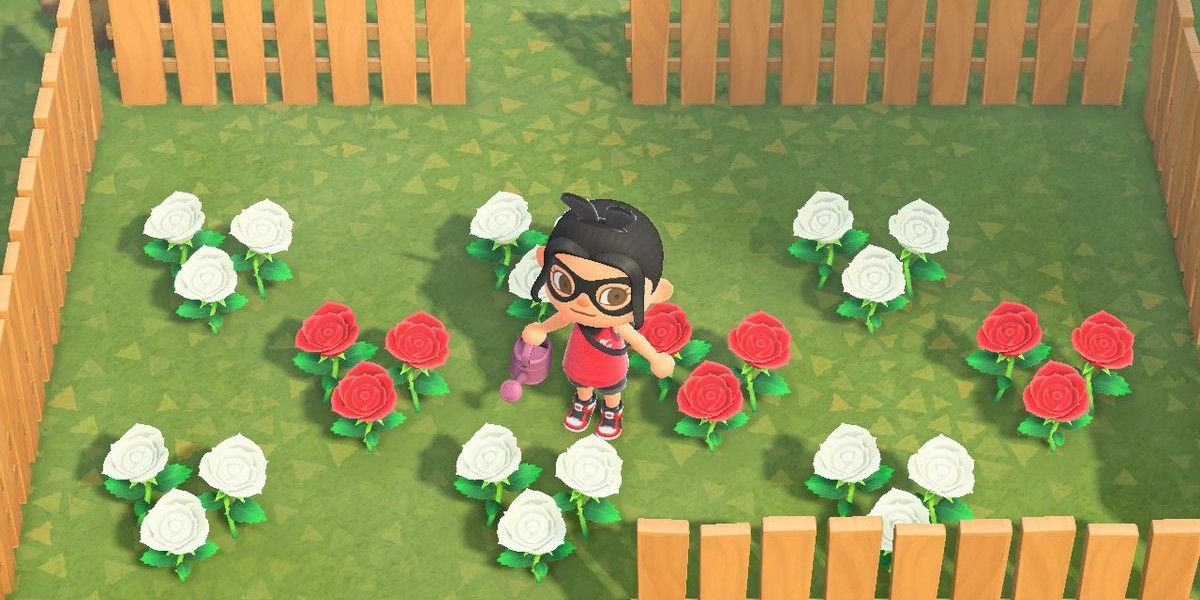 Animal Crossing New Horizons How to Find roses