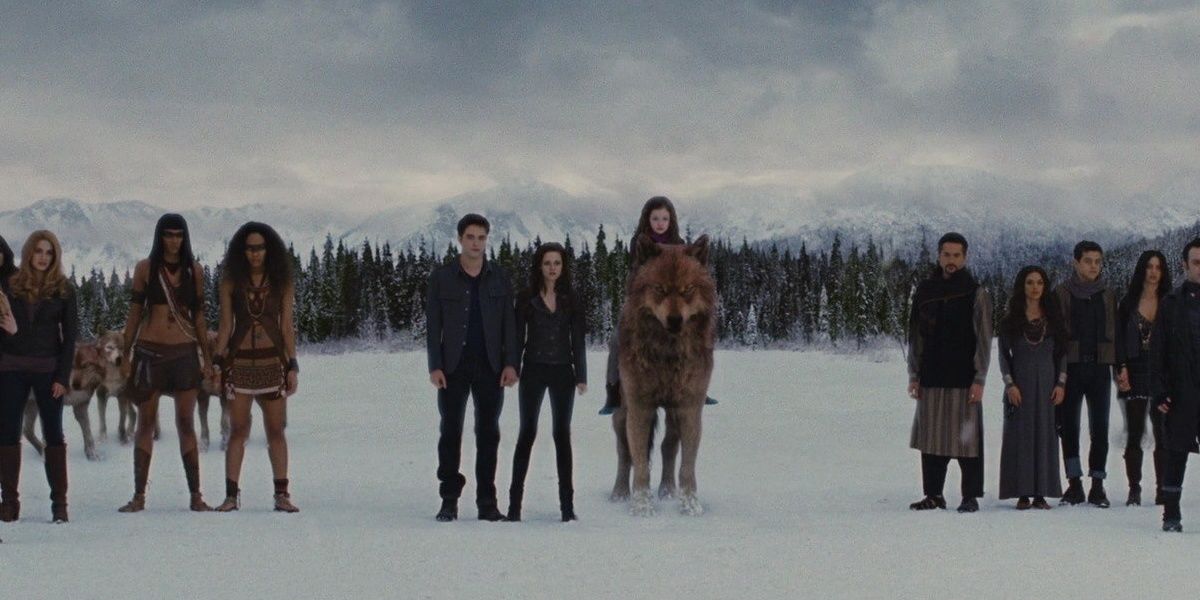 The Cullens and their allies standing on the battlefield