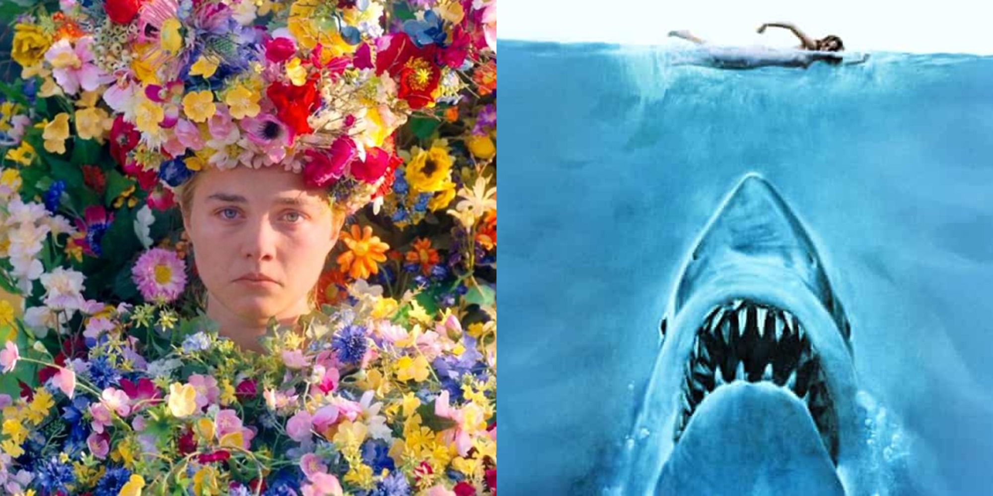 Split image depicting Florence Pugh in Midsommar, and the poster for Jaws