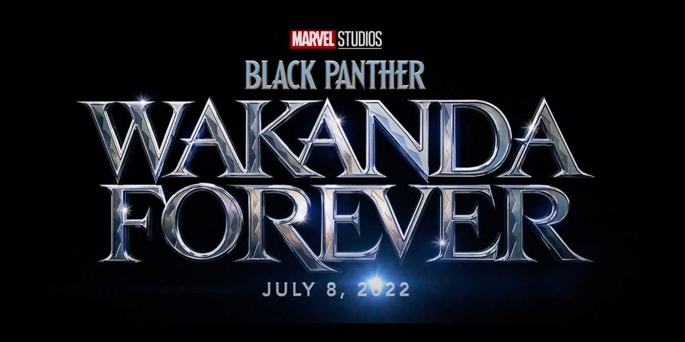 Black Panther 2 poster