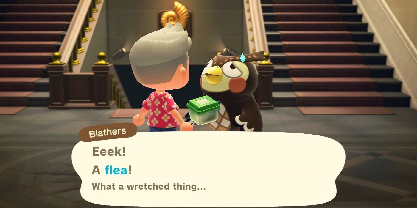 Animal Crossing Player Uses Bugs To Terrorize Blathers