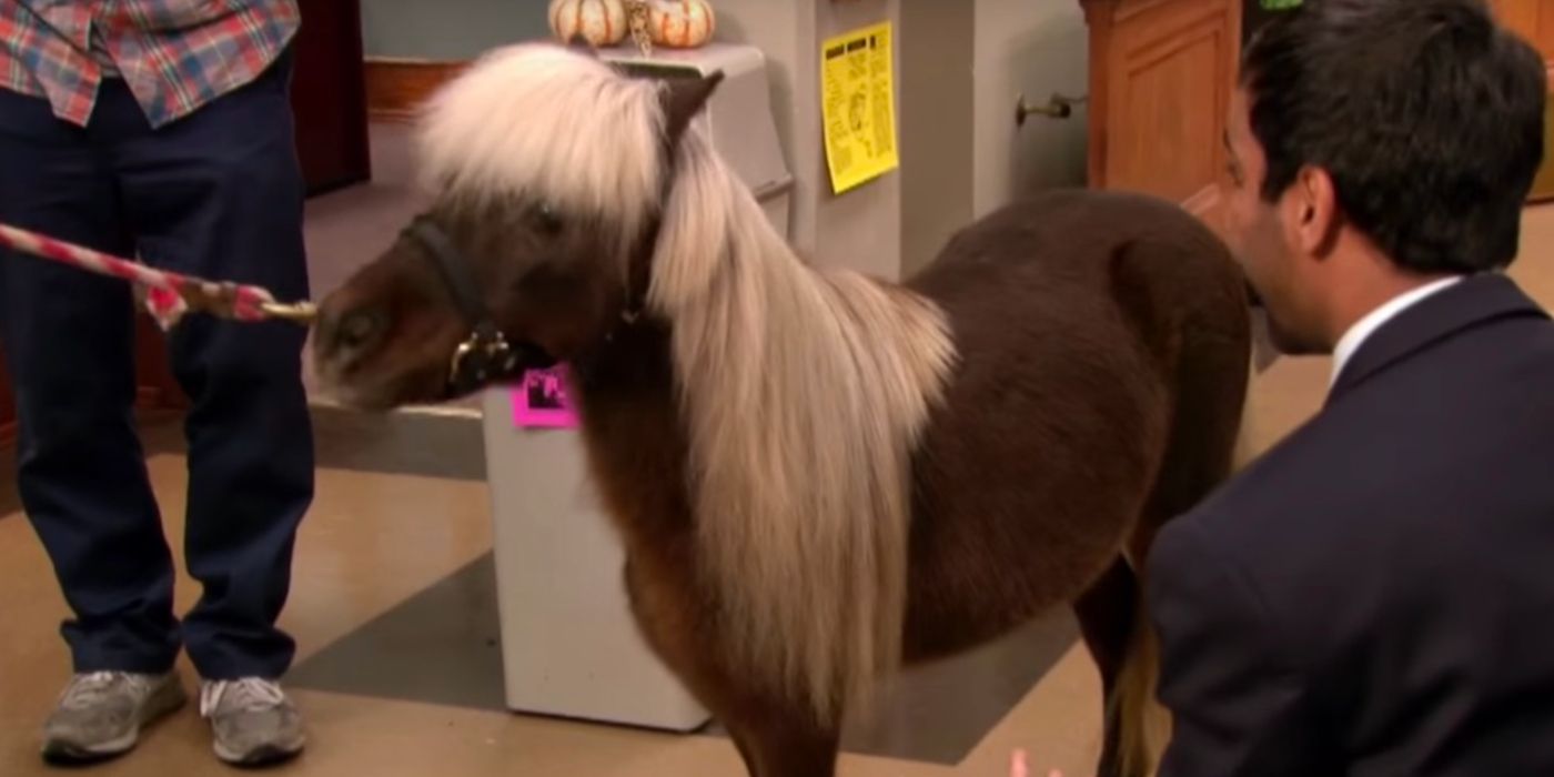 Lil Sebastian in the Parks and Rec office