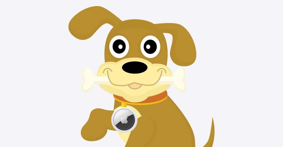 can airtag be used to track a family dog what you need to know