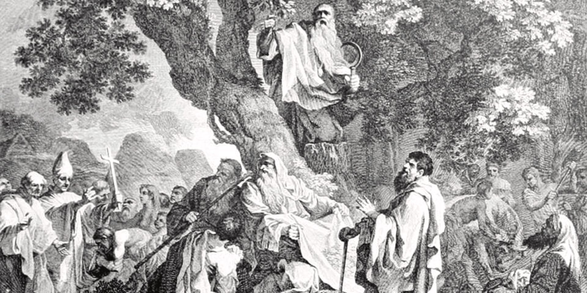 Dungeons And Dragons Paladins Druids Origins 1