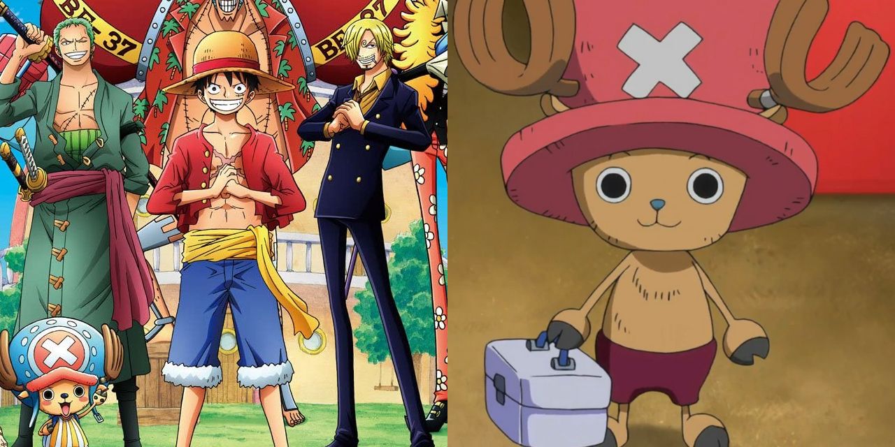 One Piece: Tony Tony Chopper / Characters - TV Tropes