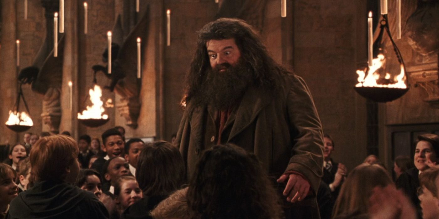 Hagrid at the end of term feast in Harry Potter