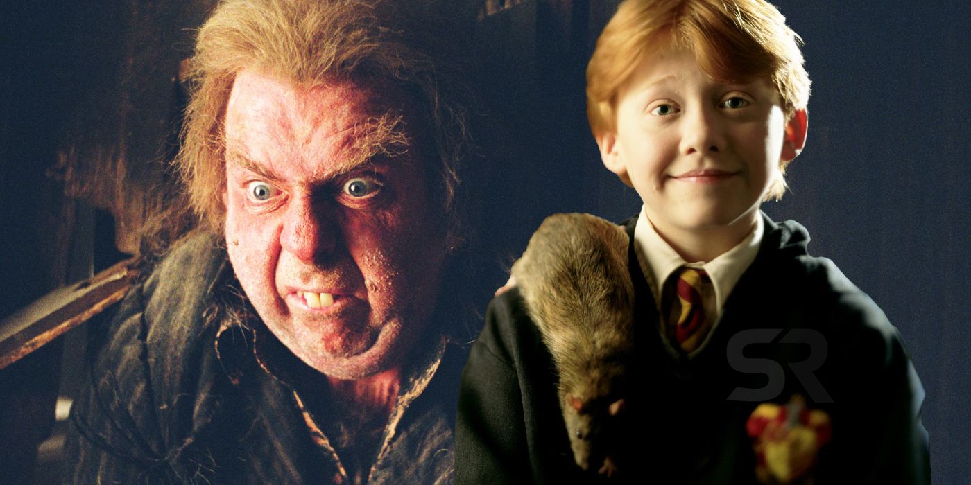 Harry Potter every clue Scabbers identity Peter Pettigrew