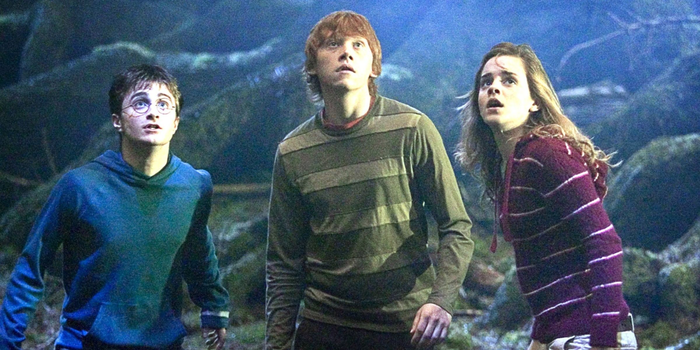 Harry, Ron, and Hermione in The Forbidden Forrest