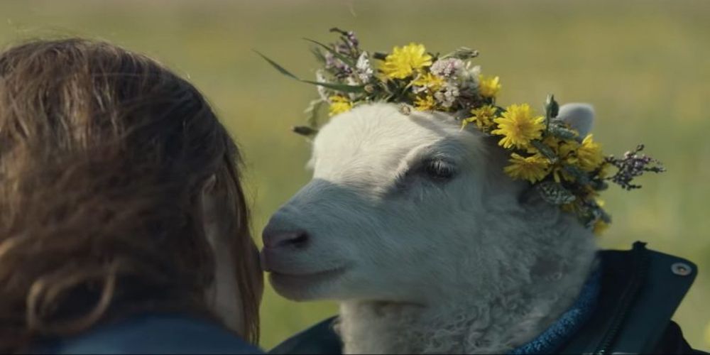 A lamb wears a crown of flowers and licks Maria's face in Lamb.