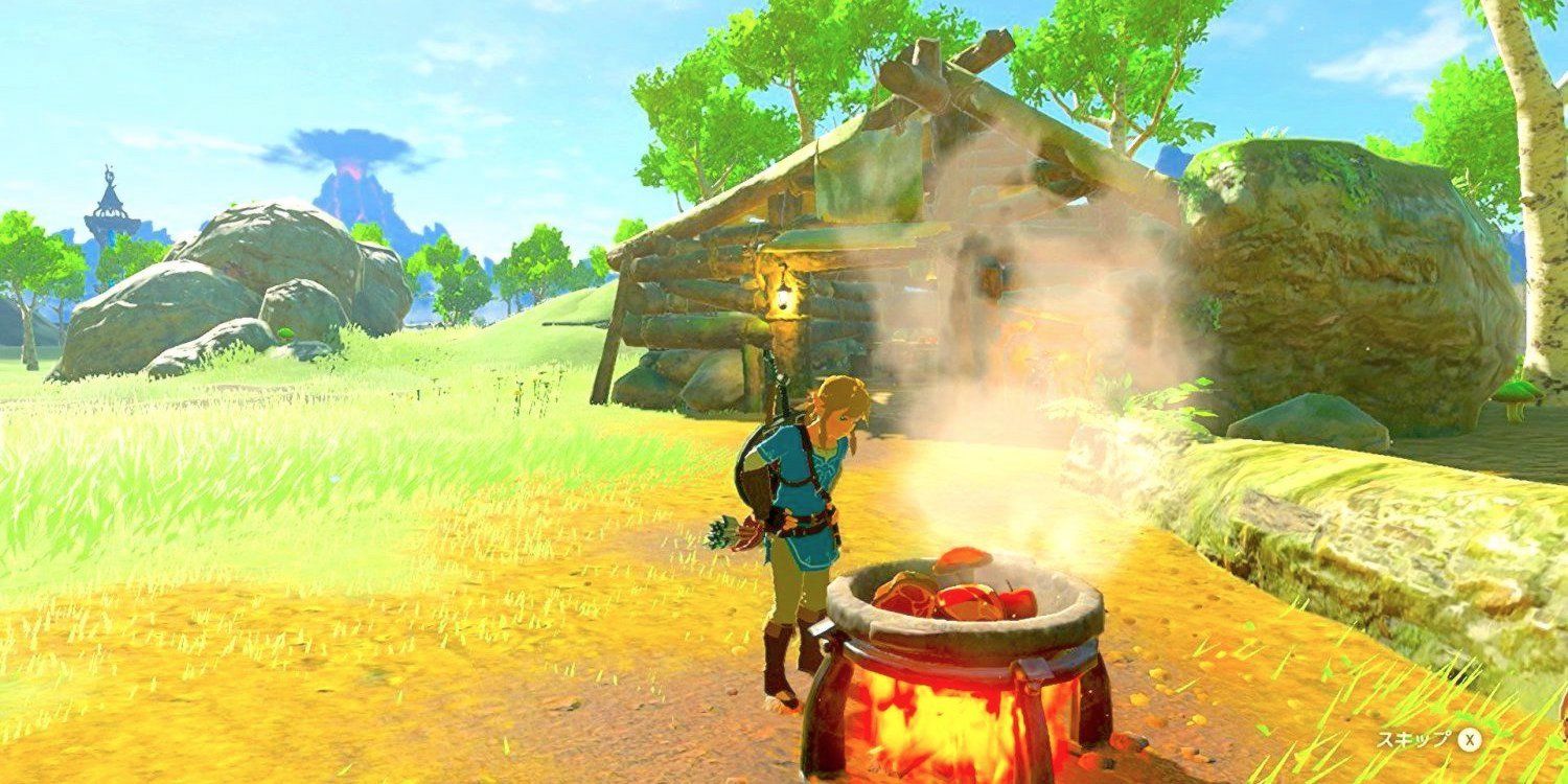Link Cooking In The Legend Of Zelda, Breath Of The Wild.