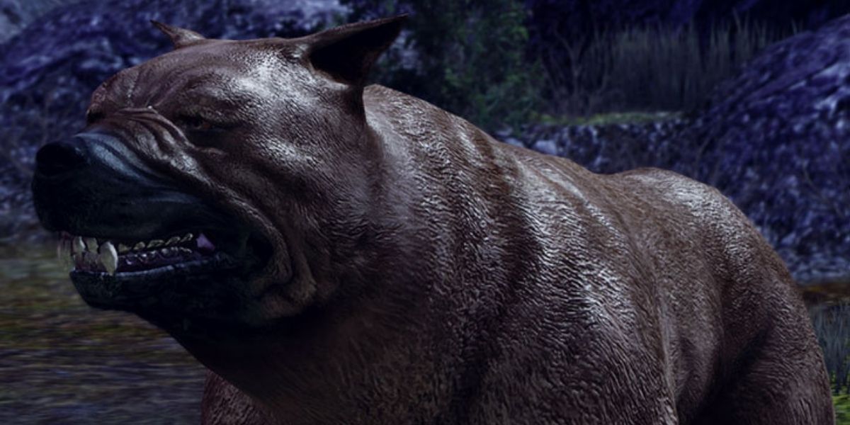 A mabari hound as seen in Dragon Age: Origins