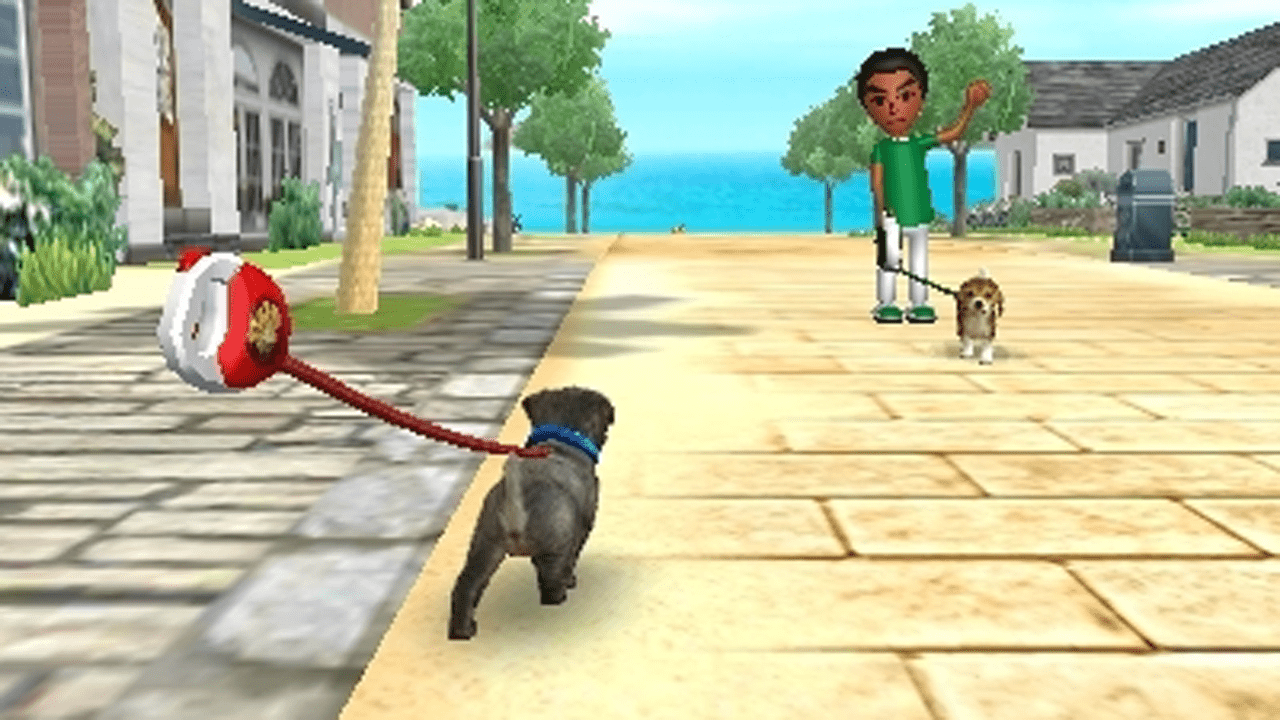 Screenshot from the Nintendo 3DS game Nintendogs + Cats