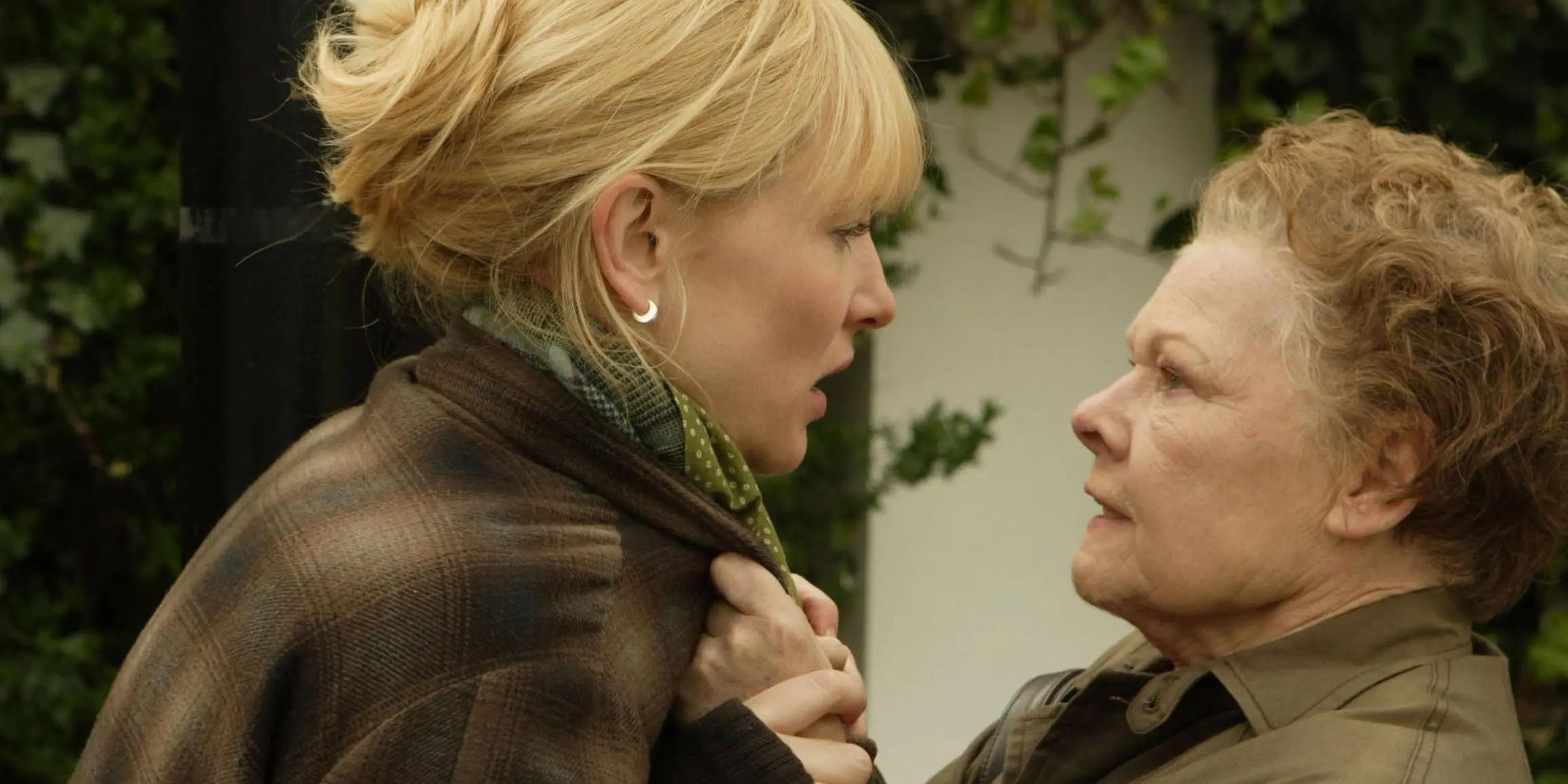 Judi Dench gripping Cate Blanchett by the collar in Notes On A Scandal.