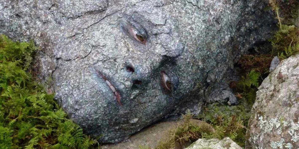 Peeta disguises himself as a rock in The Hunger Games.