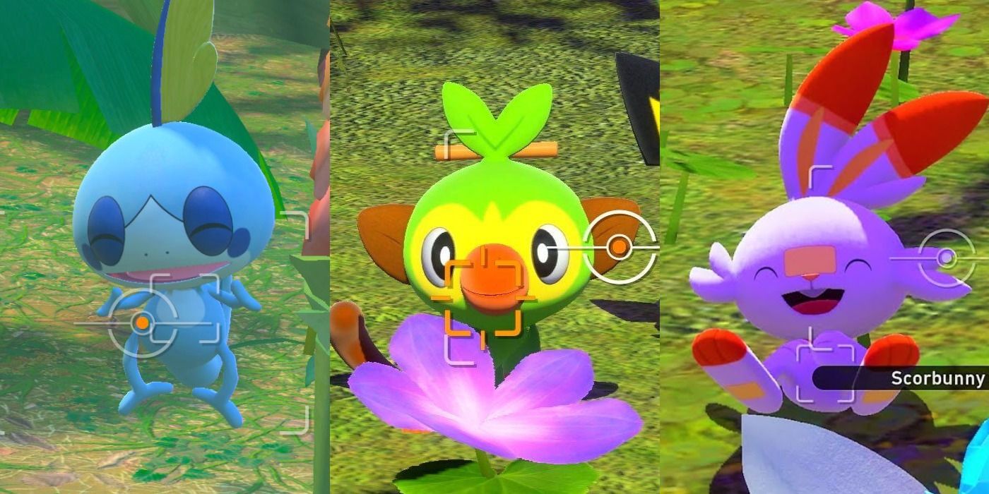 Pokemon Sword & Shield / Galar Starters / Shiny Grookey Sobble 