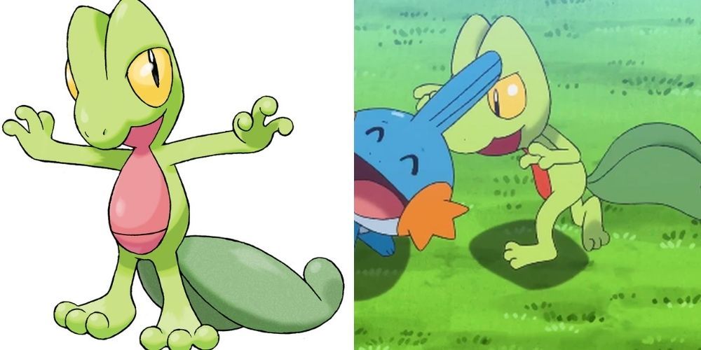 Two side by side images of Treecko from Pokemon