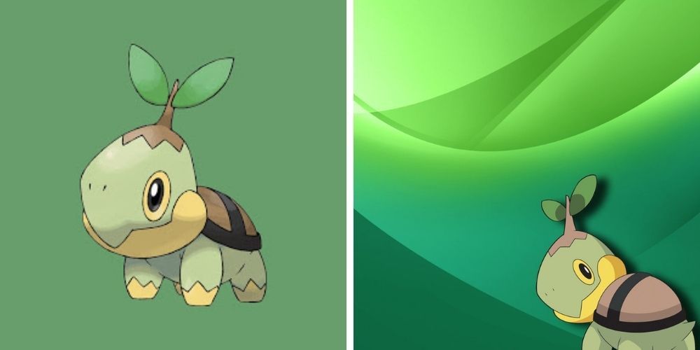 Two side by side images of Turtwig