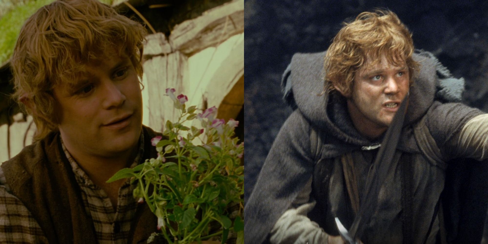 The wisdom of Samwise Gamgee | Lord of the rings, Samwise gamgee, The hobbit