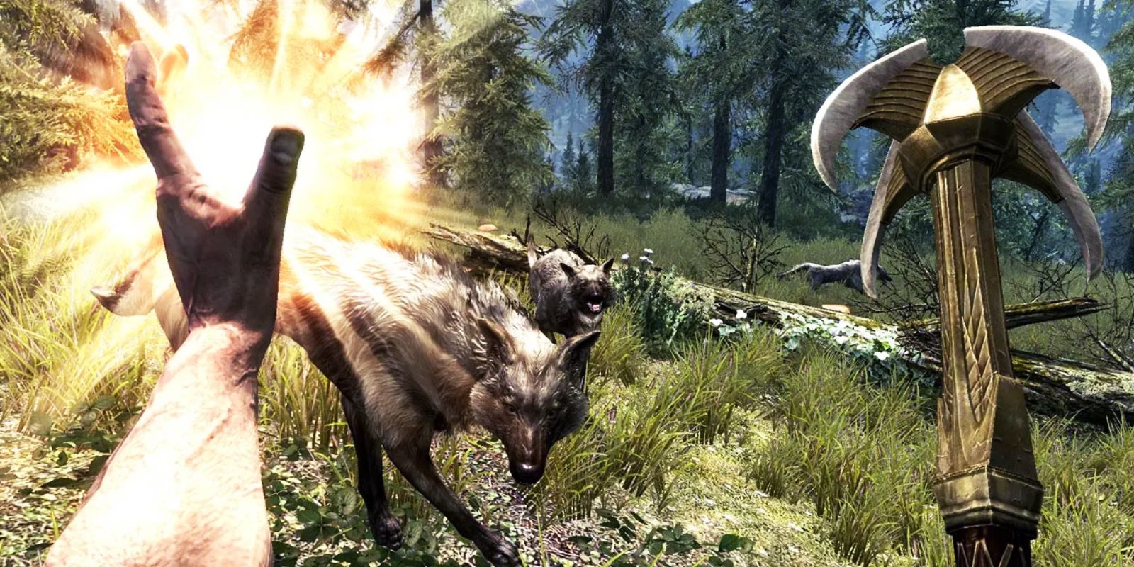 Skyrim Wolf Fight Regeneration Magic