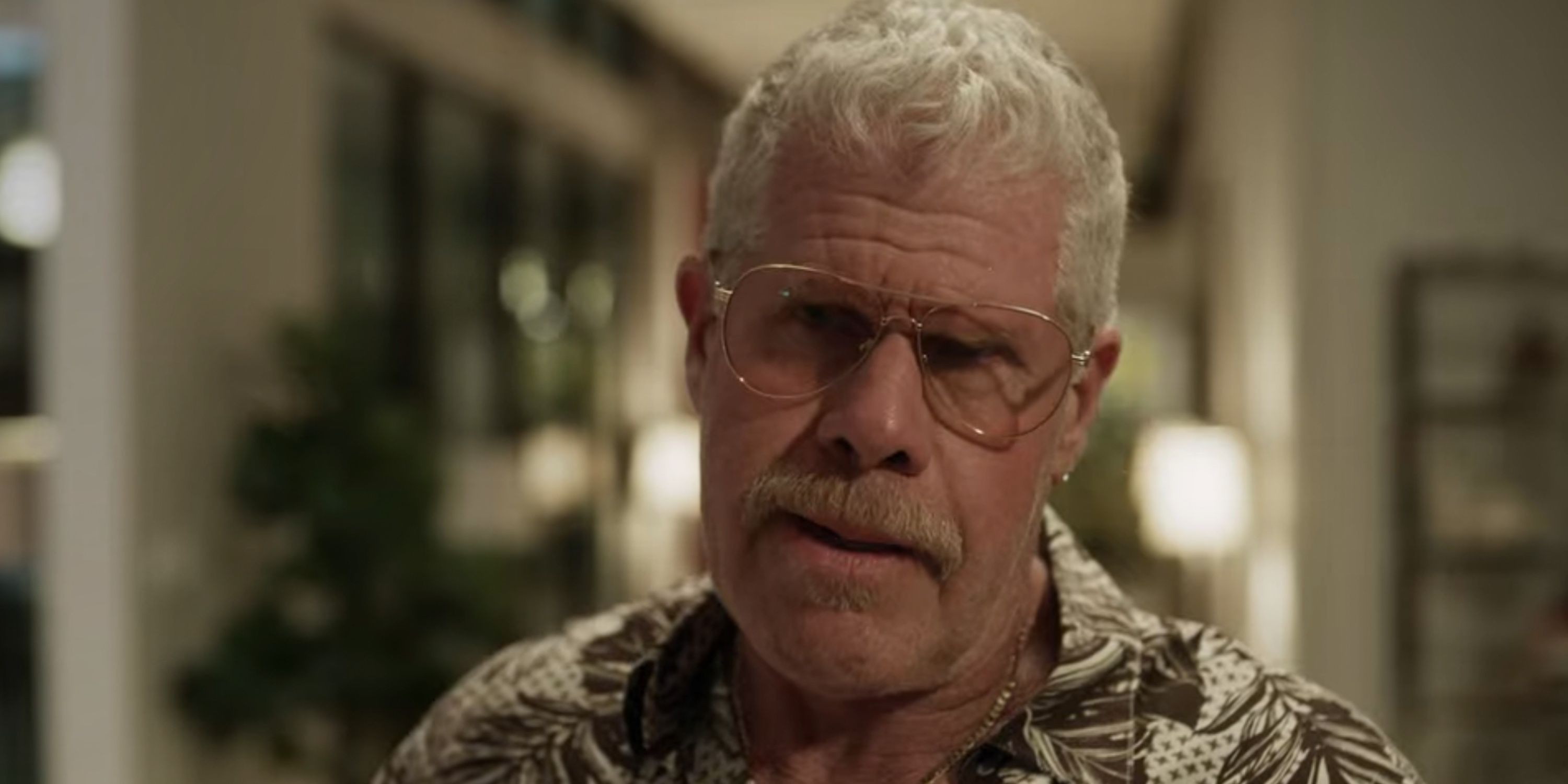 Ron Perlman as Wes Chandler in StartUp