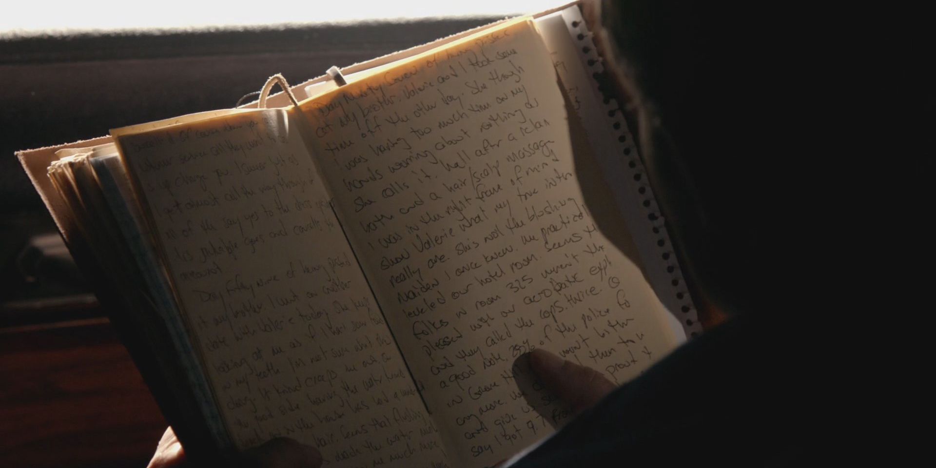 Stefan's diary in The Vampire Diaries.