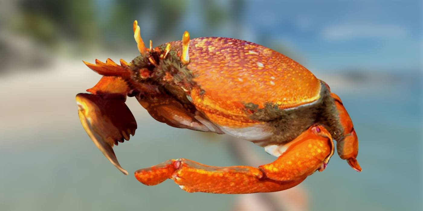 Where to Find More Food in Stranded Deep