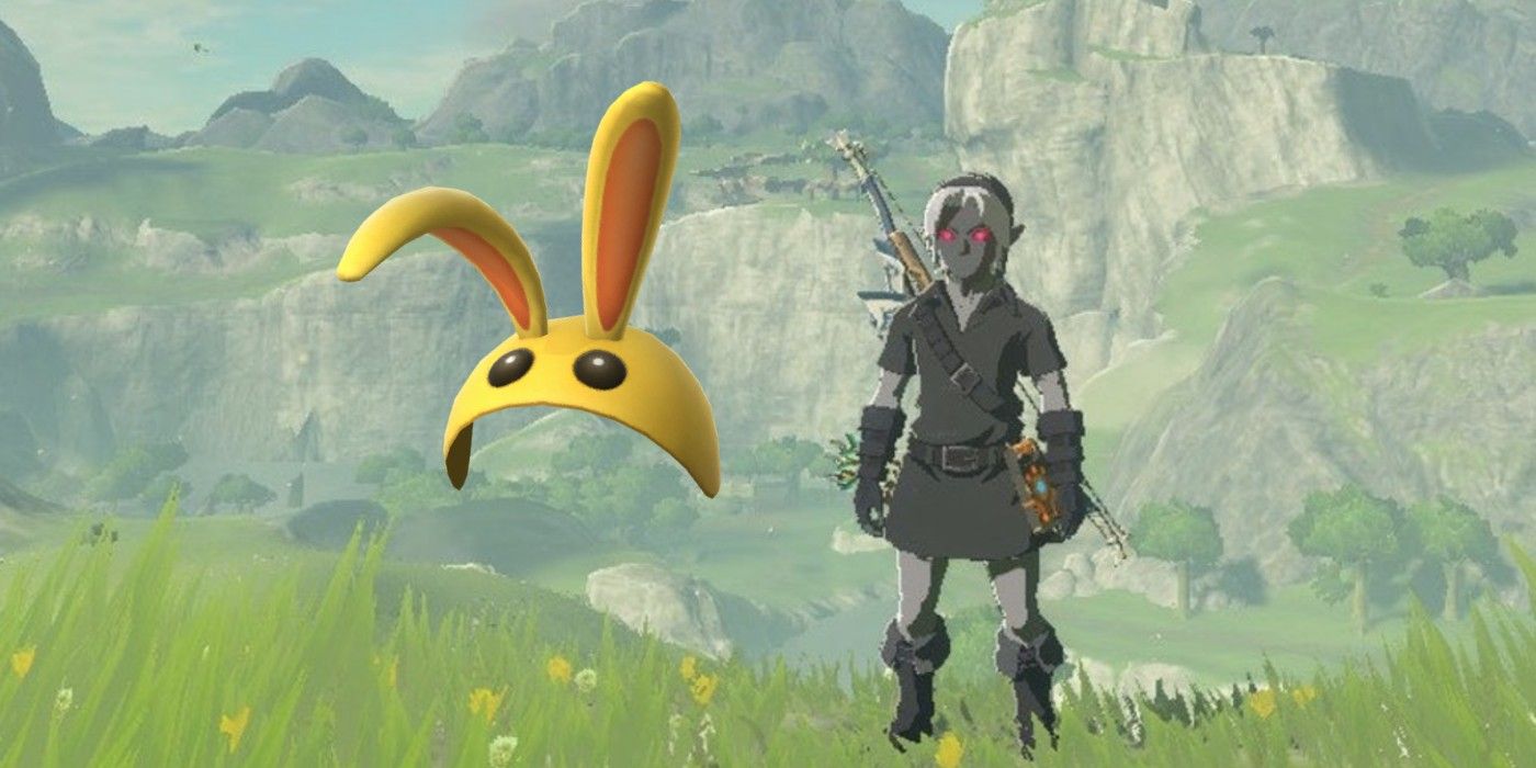 The Bunny Hood Should Be In Breath Of The Wild 2