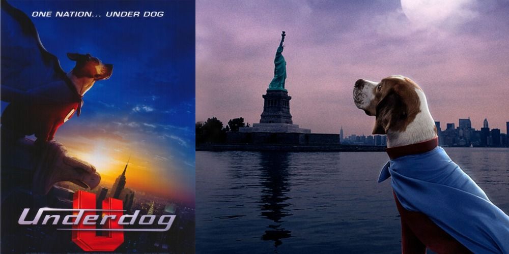 Underdog staring at the Statue of Liberty