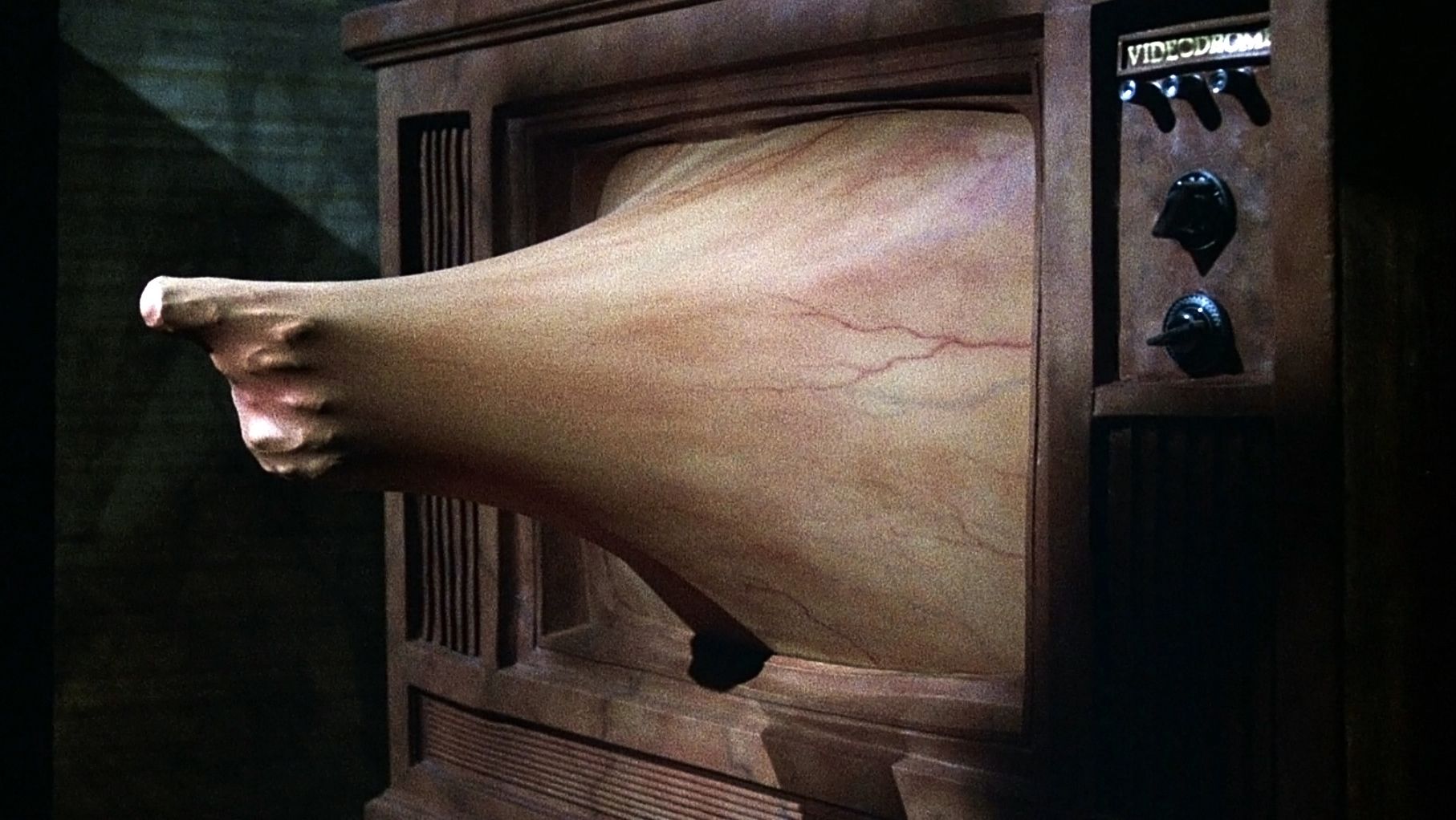 A mass of flesh extending from a television set in the horror movie Videodrome.