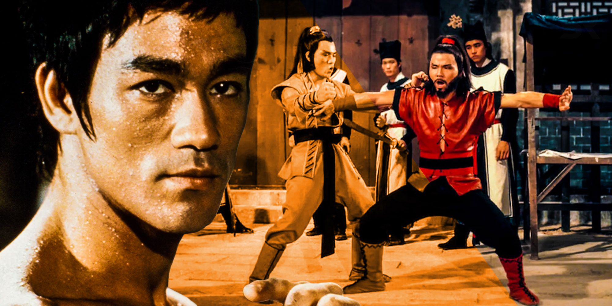 bruce lee did not like kung fu movies