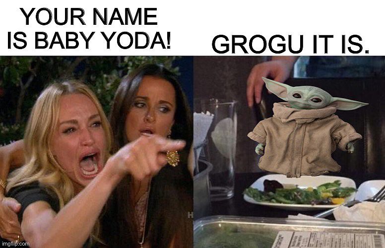 Lady yelling at cat meme: Lady - your name is Baby Yoda! Cat replaced with Baby Yoda - Grogu it is.
