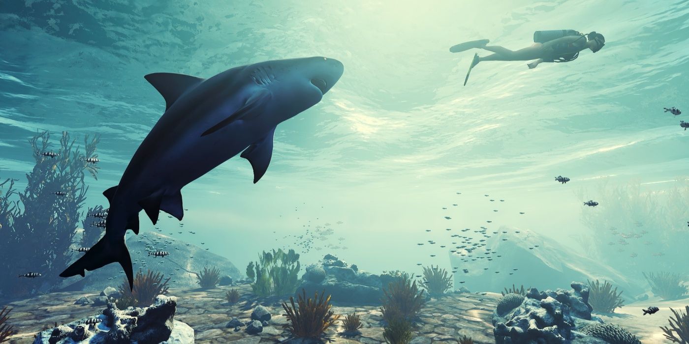 Shark RPG 'Maneater' Hits Steam, Xbox Game Pass, Switch on May 25