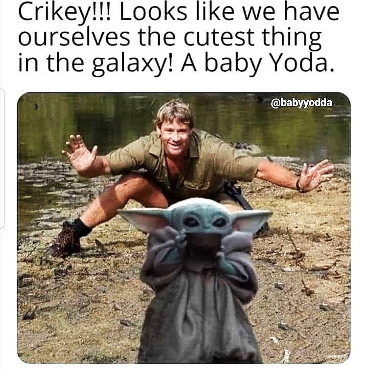 Caption: Crikey!!! Looks like we have ourselves the cutest thing in the galaxy! A baby Yoda! Image: Steve Irwin crouching with arms wide behind image of Baby Yoda