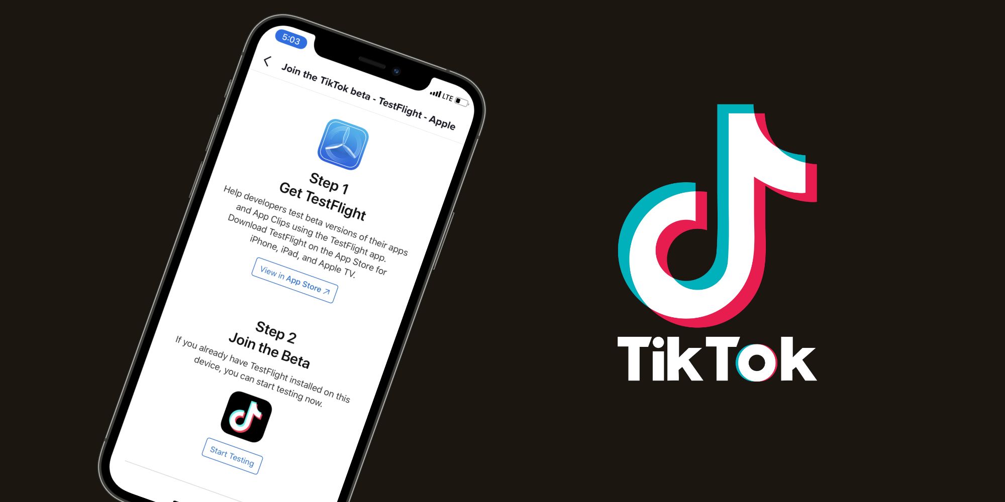 TikTok beta test page for iPhone