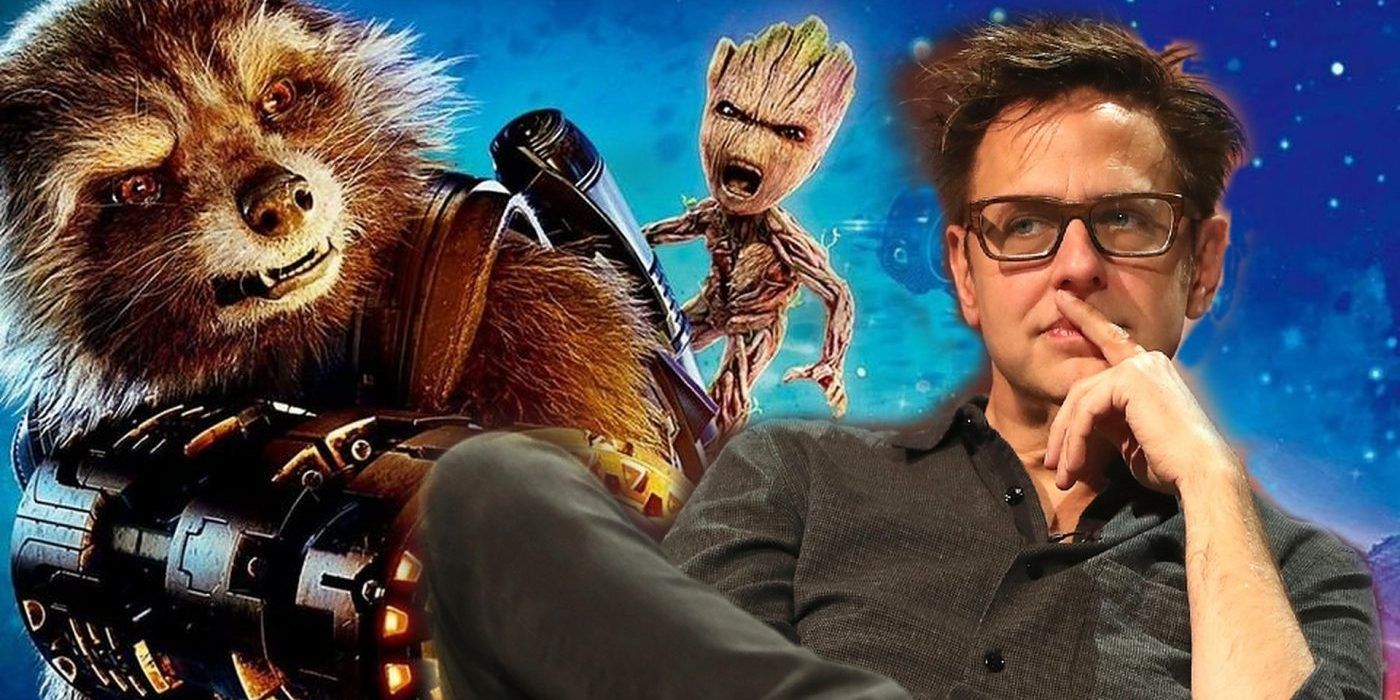 James Gunn Offers To Help Cover Costs After Raccoon Damages Woman's Home