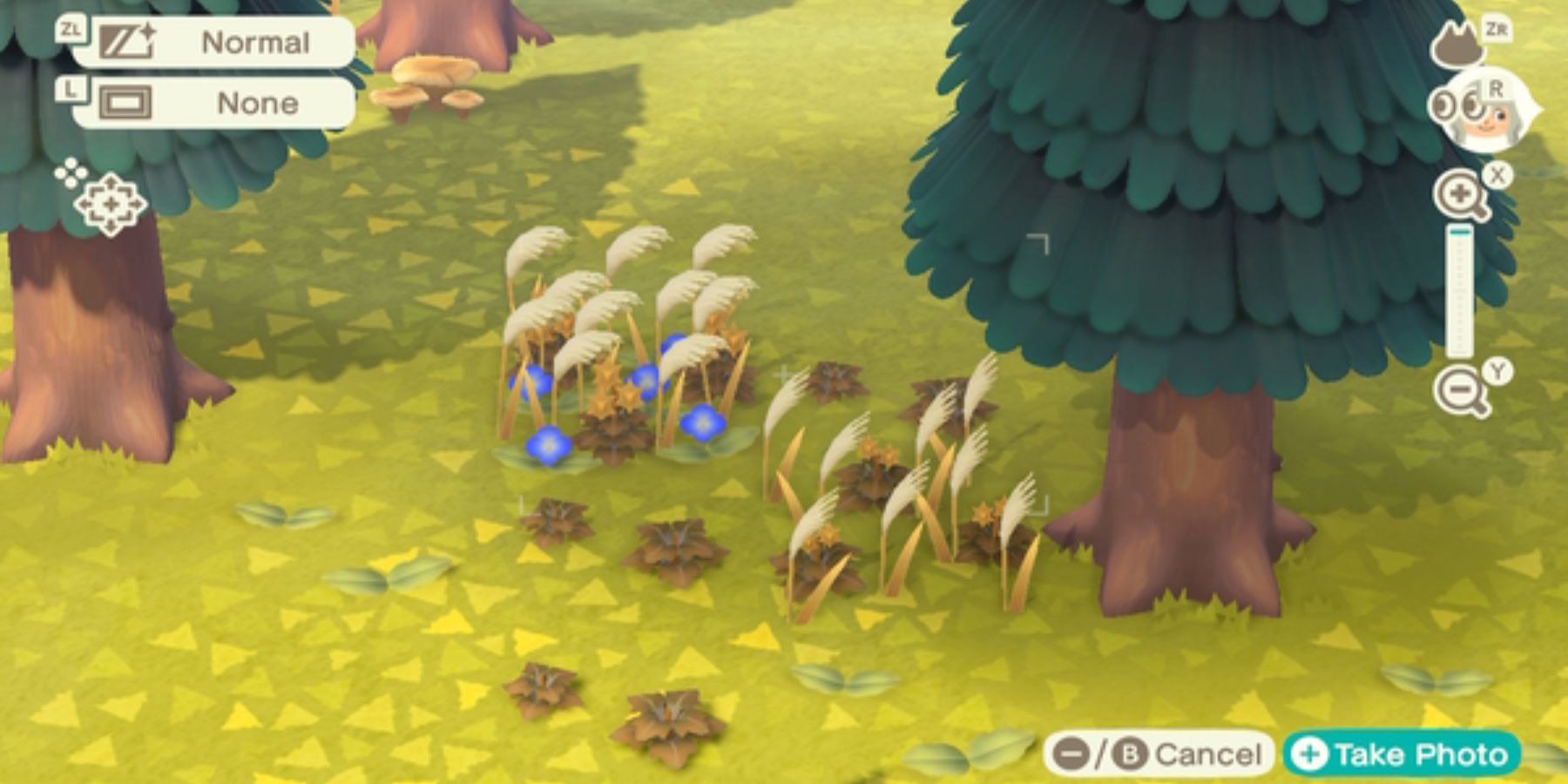 Animal Crossing 10 Tips To Get Started On Your Farm