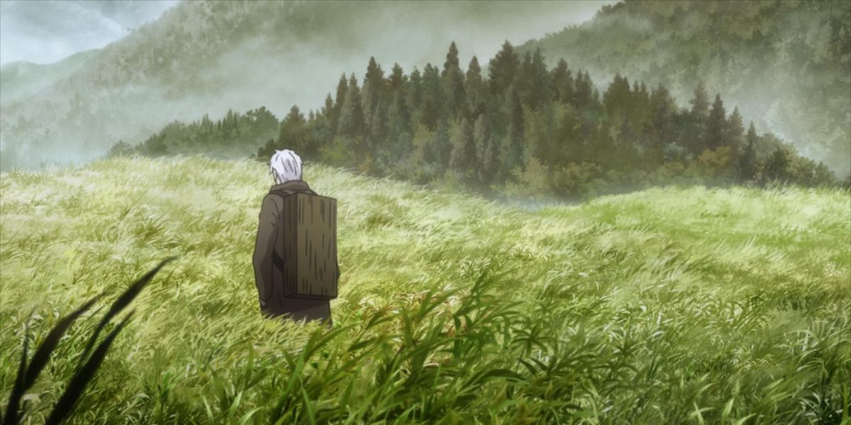 Ginko wanders alone through a field of tall grass.