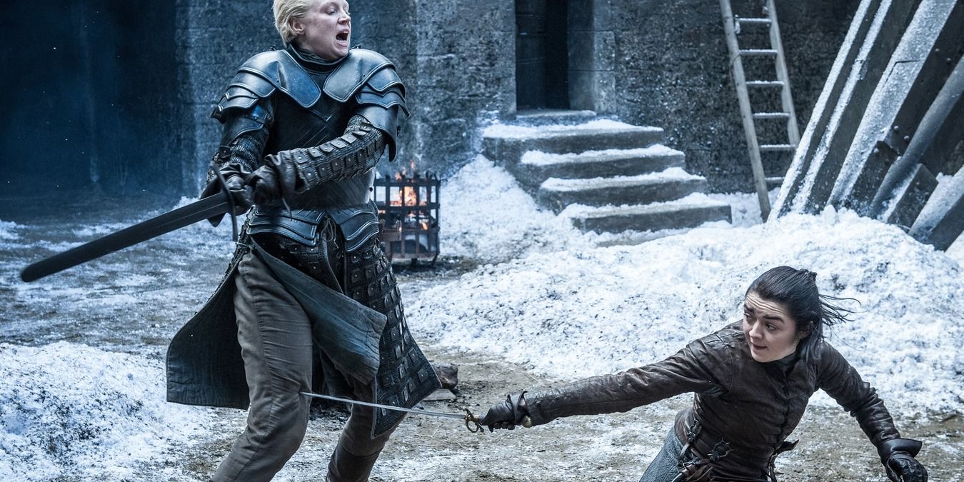 Arya and Brienne having a sword fight in the north