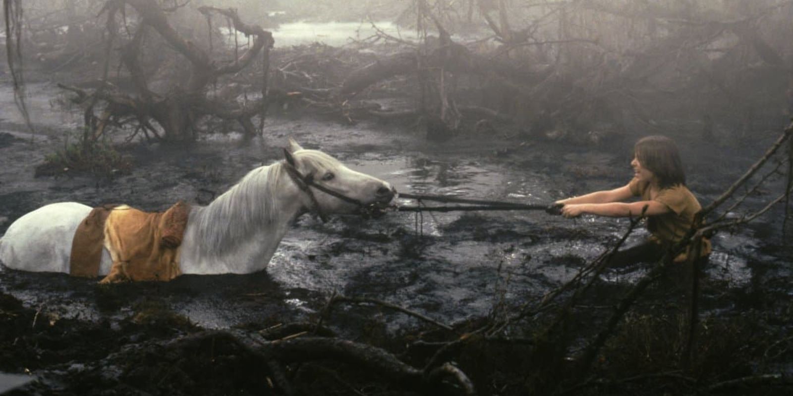 Atreyu attempting to save Artax in The Neverending Story