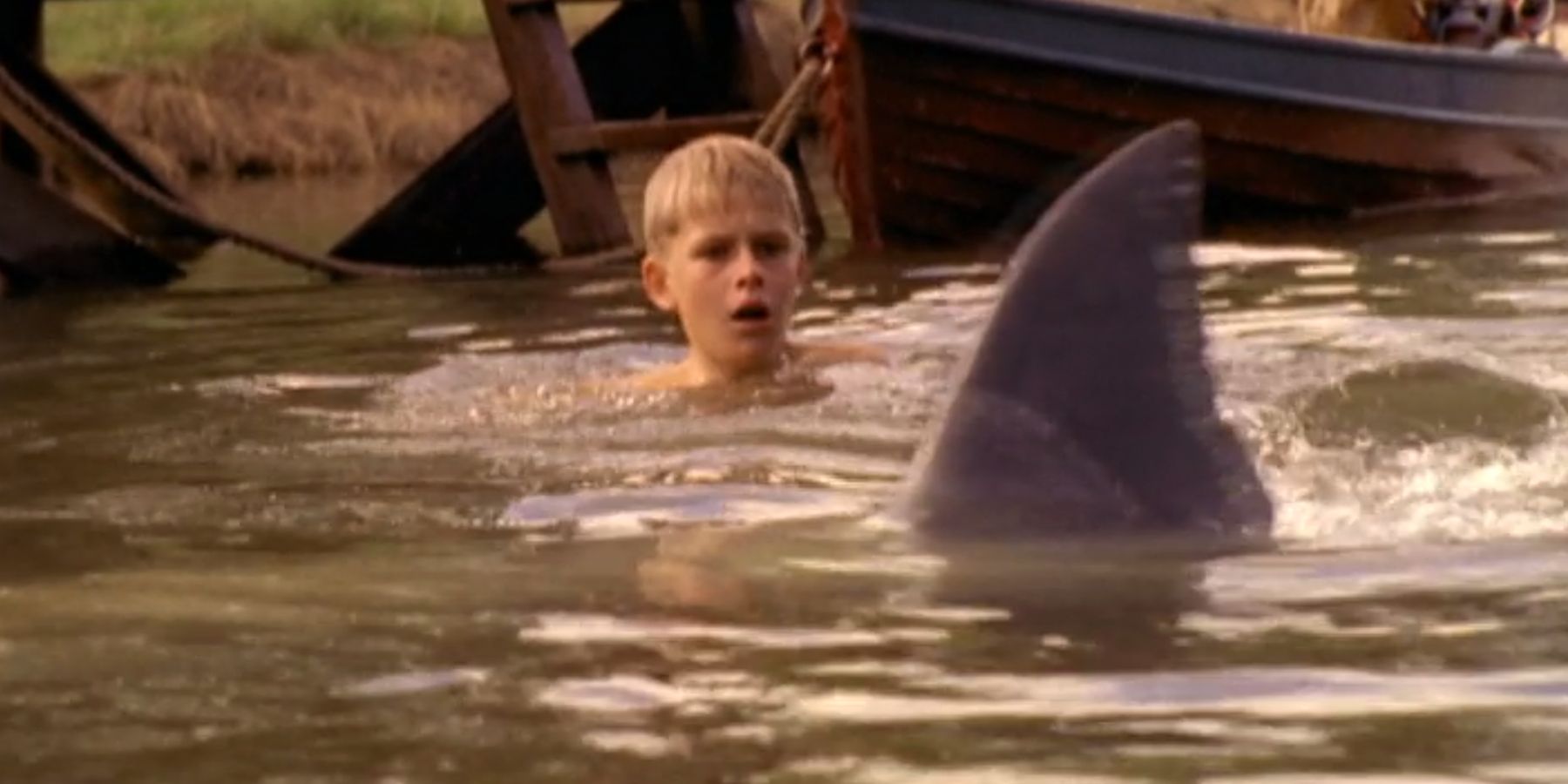 Boy in the water with a shark in 12 Days Of Terror