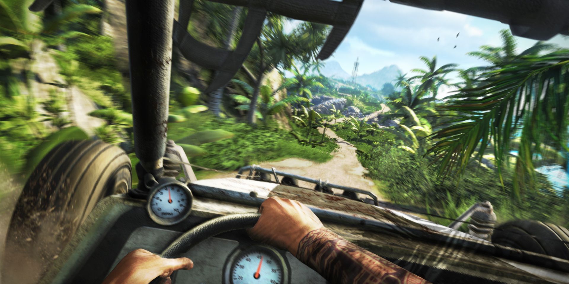 Driving in Far Cry 3