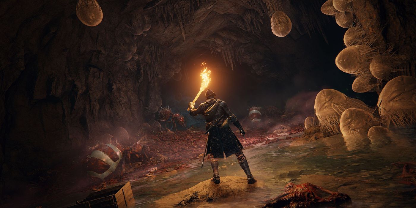 Um personagem de Elden Ring segurando uma tocha em uma caverna cheia de inimigos formigas gigantes e seus sacos de ovos.