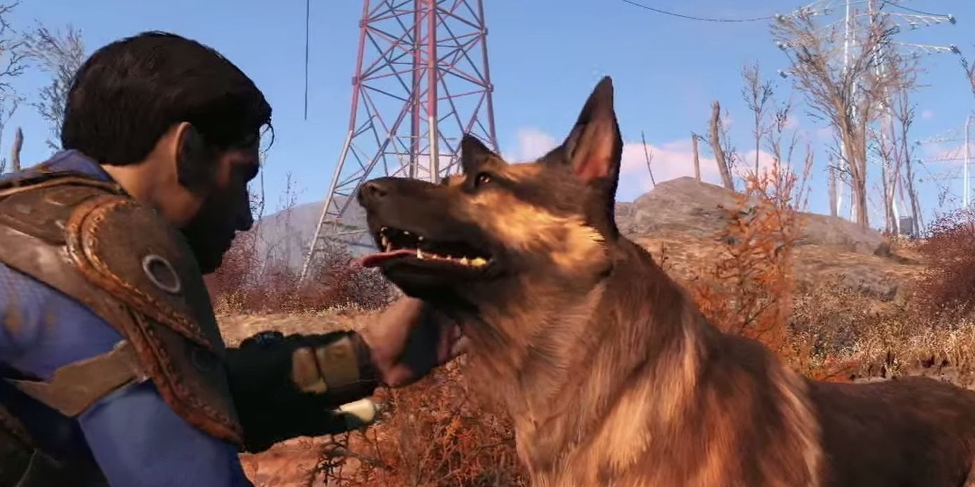 Fallout 4 Dogmeat Real Life Inspiration