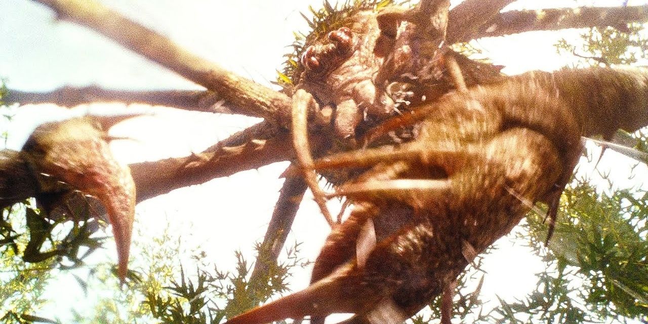 Harry Potter's Aragog & 9 Other Terrifying Movie Spiders