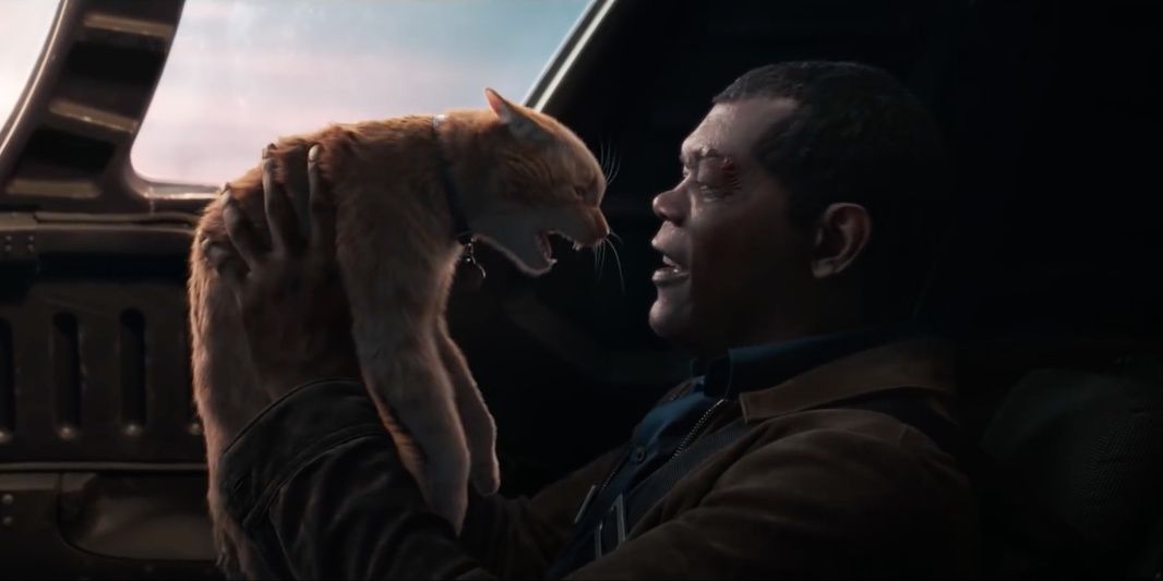 Goose hisses at Nick Fury in Captain Marvel
