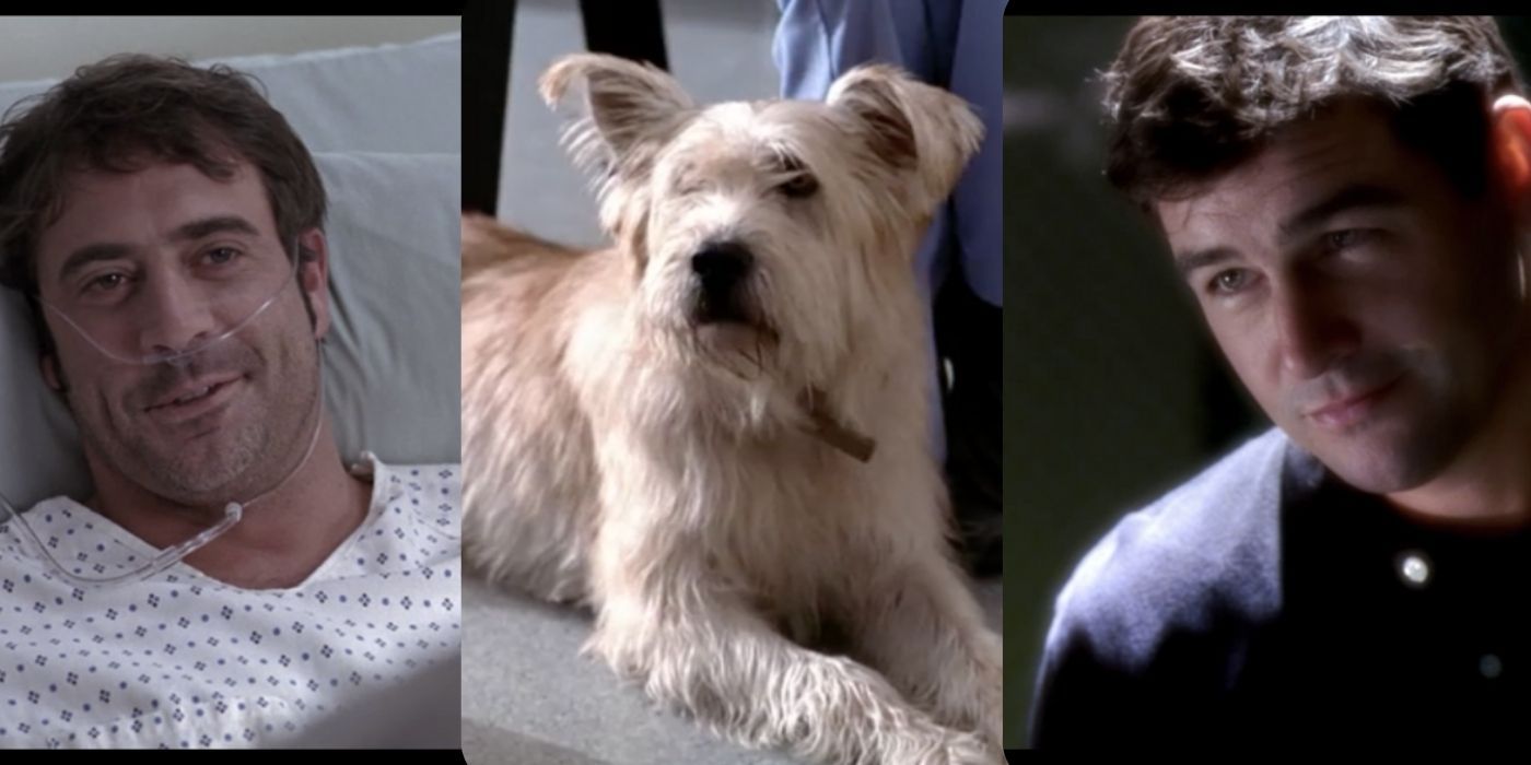 Denny, Doc and Dylan in Grey's Anatomy
