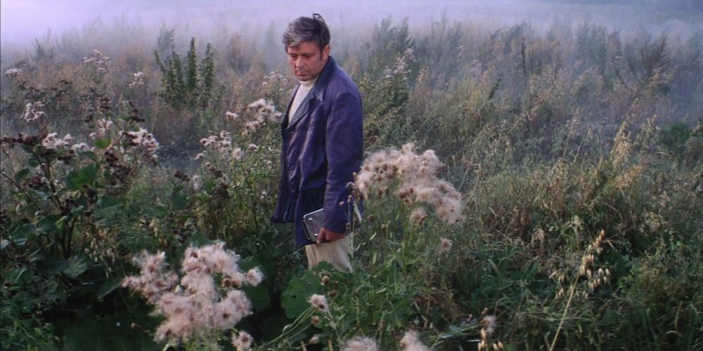 Kris Kelvin standing in a field in Solaris (1972)