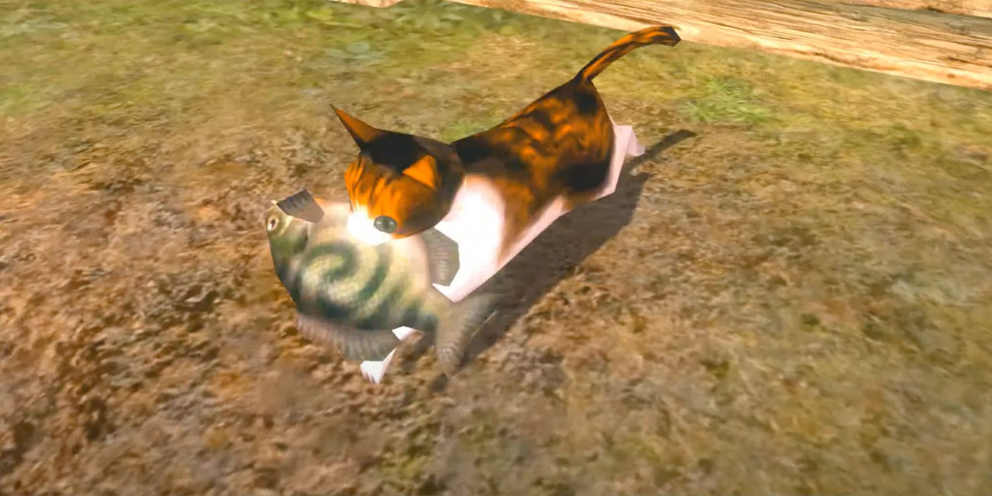 Link the Cat in Twilight Princess