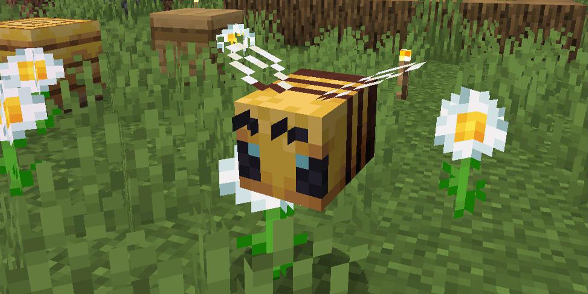 How To Find And Harvest Bees In Minecraft 